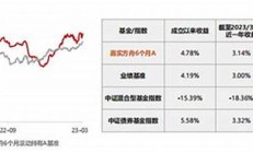 嘉實(shí)基金-嘉實(shí)固收+再出征_一年持有_追求穩(wěn)穩(wěn)的幸福(嘉實(shí)基金現(xiàn)在多少錢了)