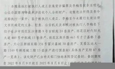 合肥房姐李梅房拍賣成交情況，拍賣過程詳細解讀 - 副本