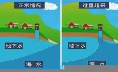 海水倒灌對沿海城市的環(huán)境與經(jīng)濟影響(海水倒灌對沿海城市的環(huán)境與經(jīng)濟影響論文)