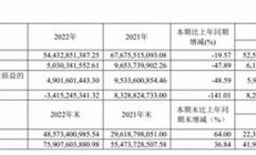 中國中免將在青島打造免稅城