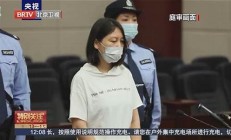 重大惡性犯罪案件的法律懲罰與從嚴(yán)懲治的社會反響(發(fā)生重大惡性案件的追究人員責(zé)任)