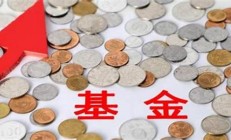 基金如何購買基金_教你低風險理財_限時12元(基金怎么買低點)