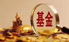 2022年什么是基金資料,海量收錄.完整版(請問一下基金是什么)