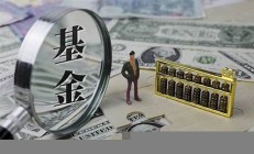 基金公司-基金業(yè)務(wù)-基金凈值查詢