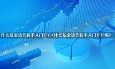 基金入門_簡單開戶_平臺專業(yè)_放心交易(基金開放接口)