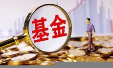 全新新基金與老基金資源,海量熱門資料,免費(fèi)下載!