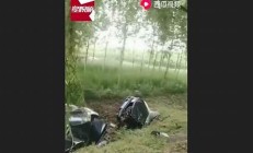 司機(jī)撞樹身亡背后隱藏的騙保手段 保險(xiǎn)公司如何應(yīng)對(duì)(故意開車撞樹保險(xiǎn)拒絕賠償)