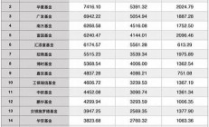 中國(guó)對(duì)沖基金公司排名_百萬(wàn)投資明智之選_100萬(wàn)起投榜單產(chǎn)品(中國(guó)對(duì)沖基金發(fā)展現(xiàn)狀)