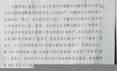 合肥房姐李梅房拍賣結束，影響深遠的市場事件(合肥房產視頻) - 副本