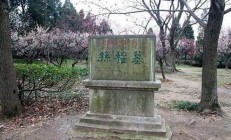 三國重臣張昭墓在南京找到了(張昭遺體告別)