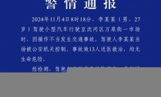 沈陽一汽車沖入早市撞傷13人